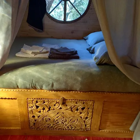 La Roulotte Du Petit Paradis Saint-Rémy-de-Provence Extérieur photo