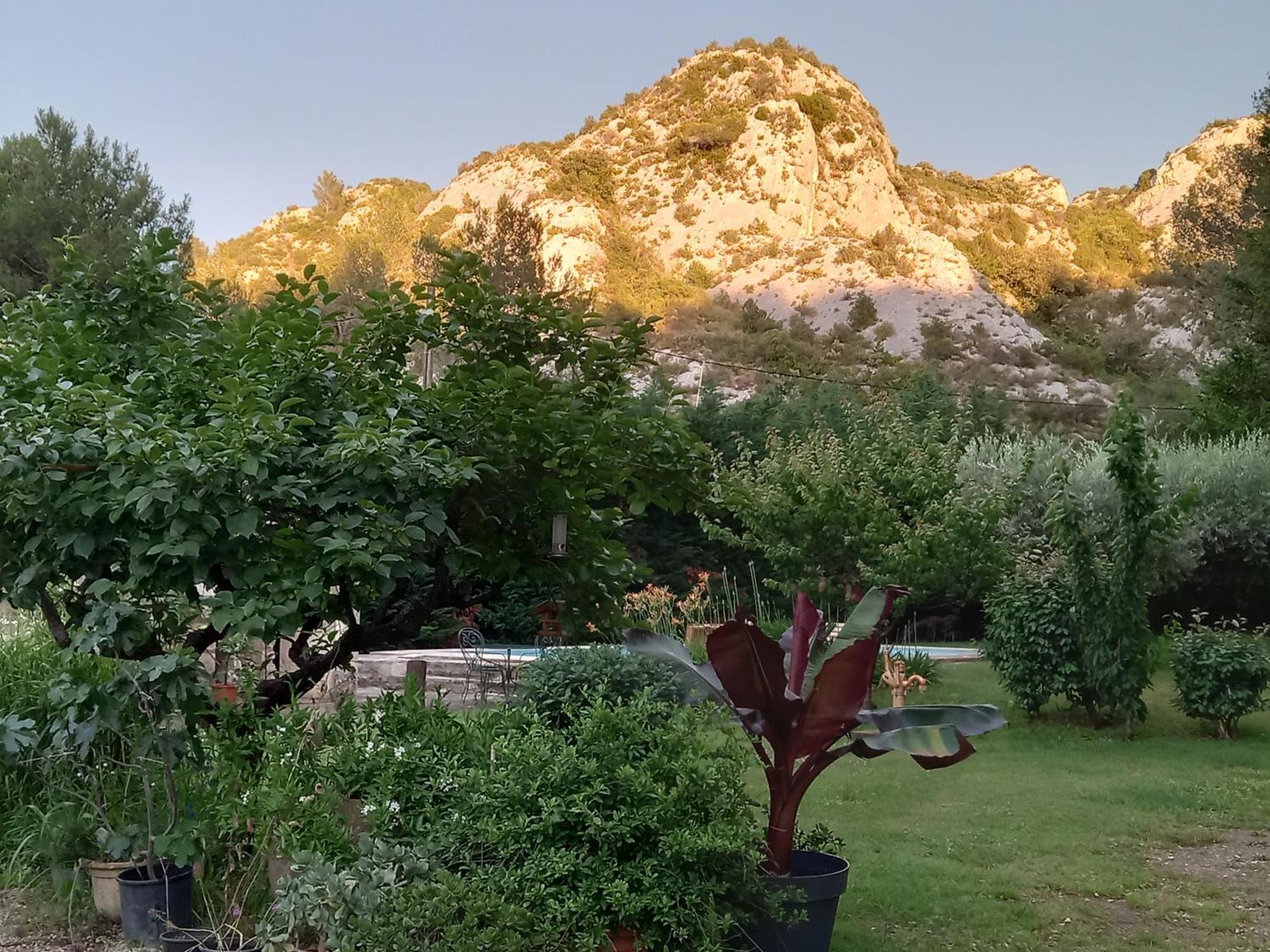 Tente de luxe La Roulotte Du Petit Paradis